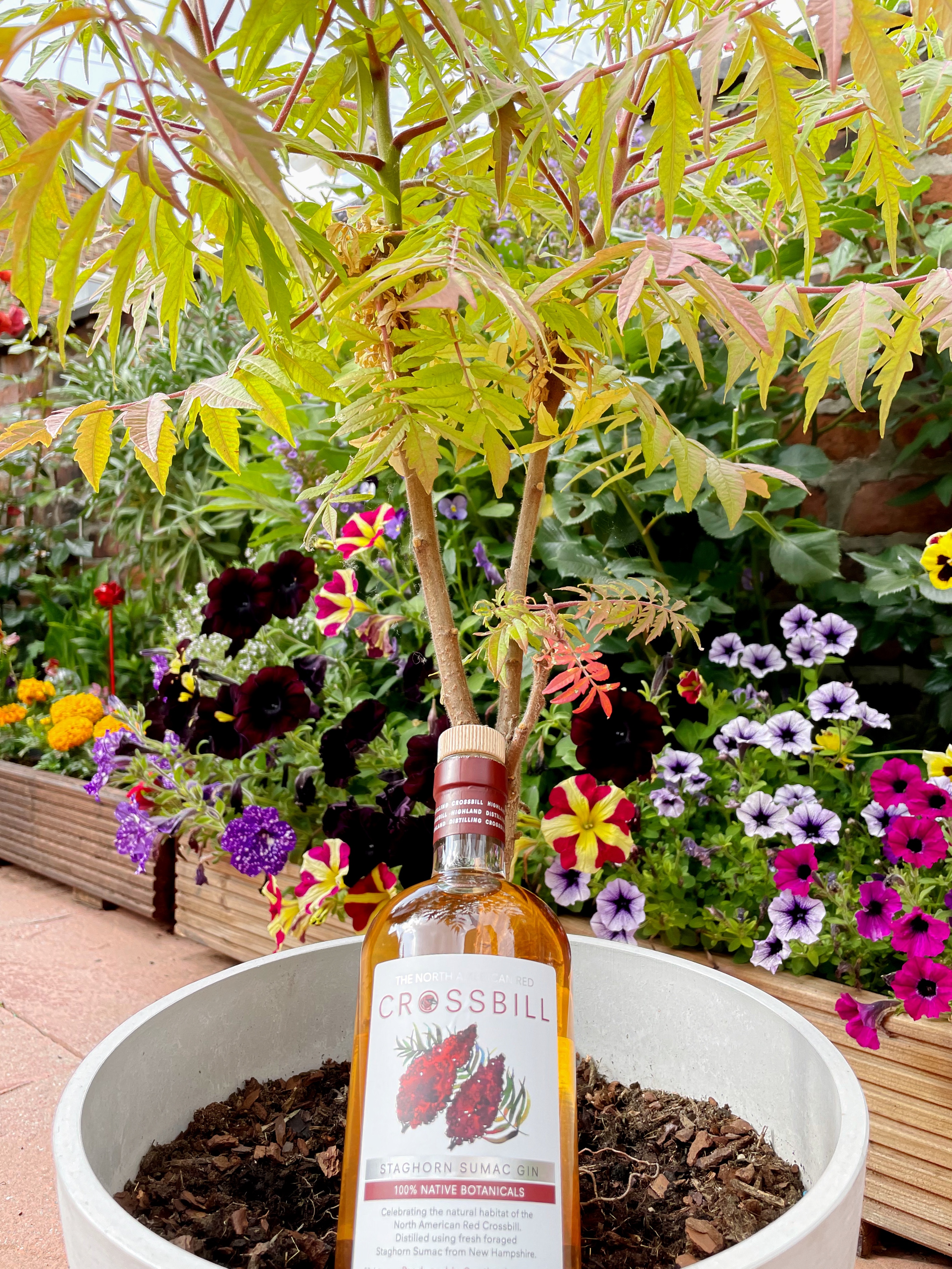 Gin Review:- Crossbill Sumac Gin