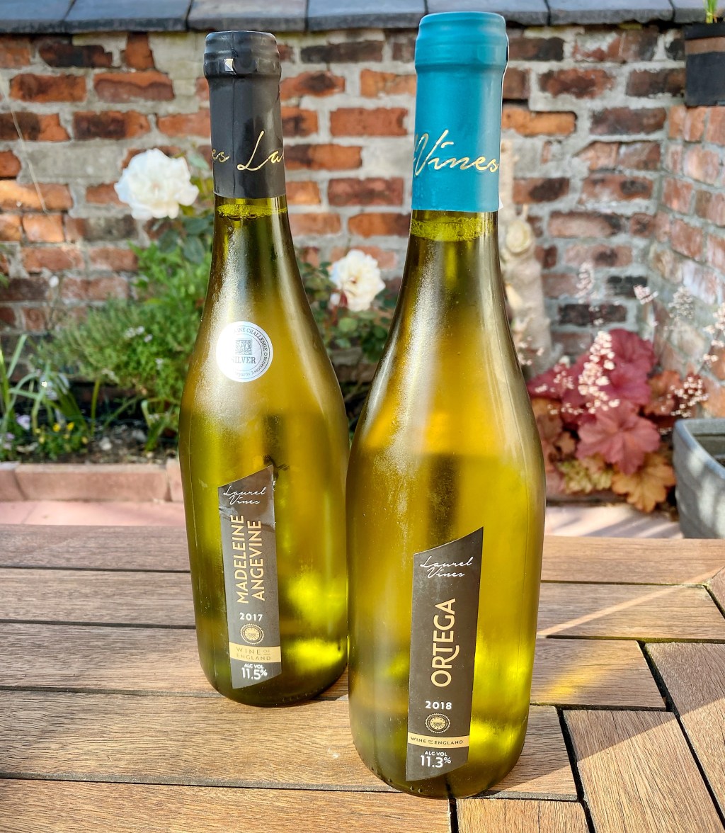 Laurel Vines – Great Wine From ‘Up North’