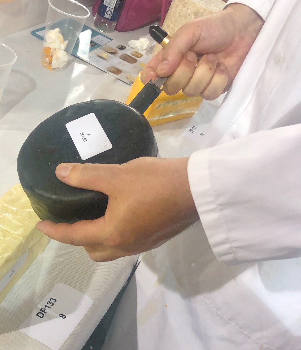 Judging Cheese and Wine – From the Peoples Choice Wine Awards to the International Cheese&nbsp;Awards