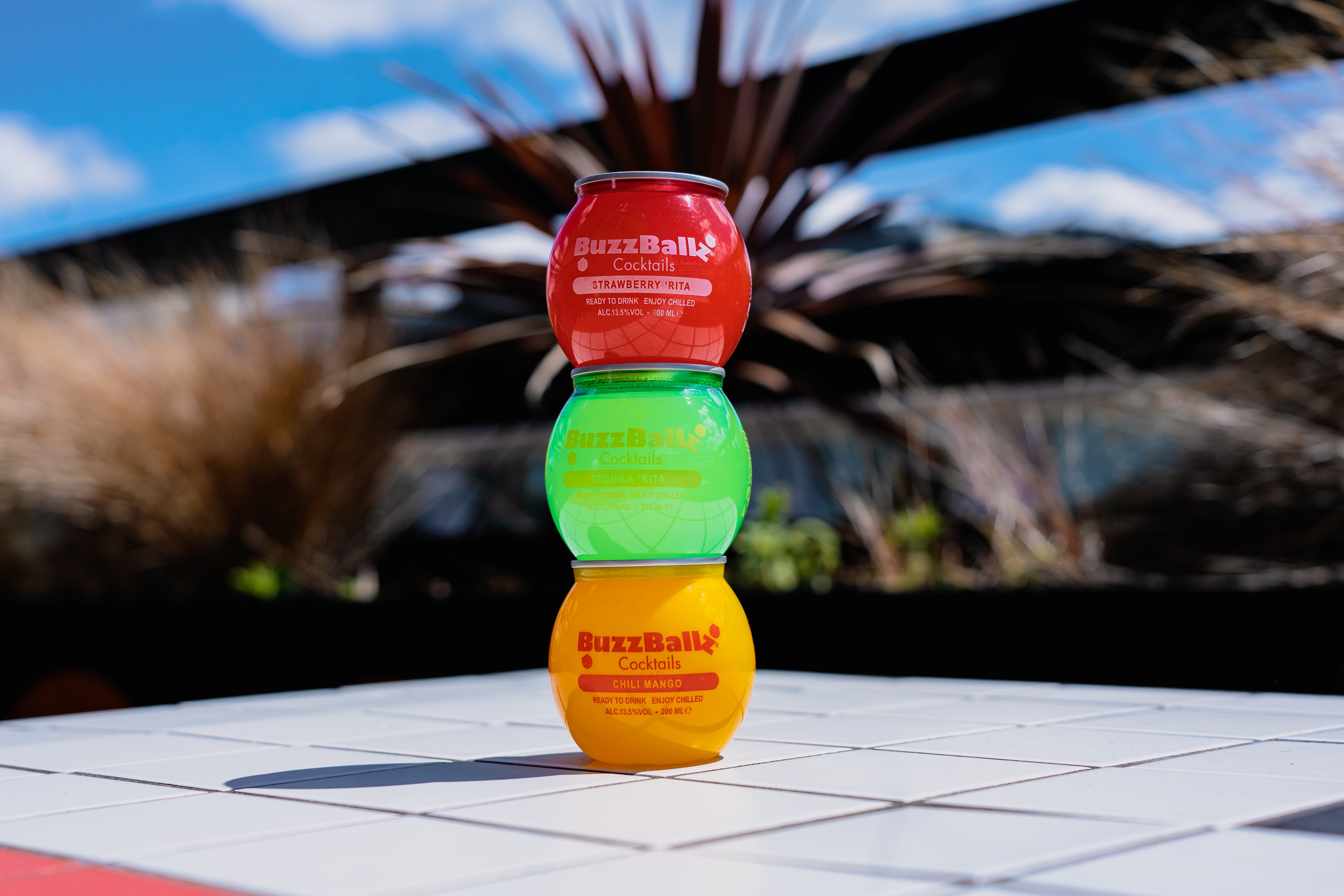 Buzzball Inflatable buzzball-05814